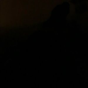 Meet your Posher, Gerald